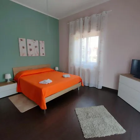 Il Tulipano *