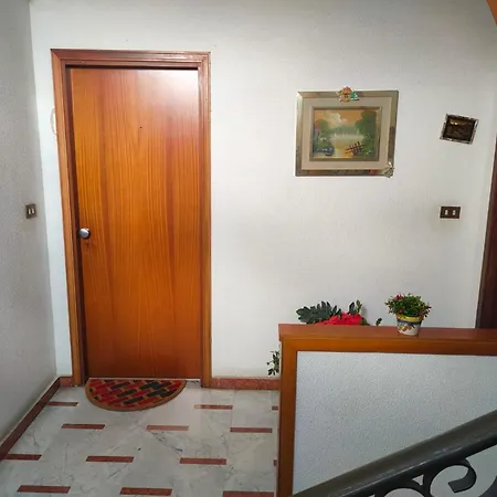Il Tulipano