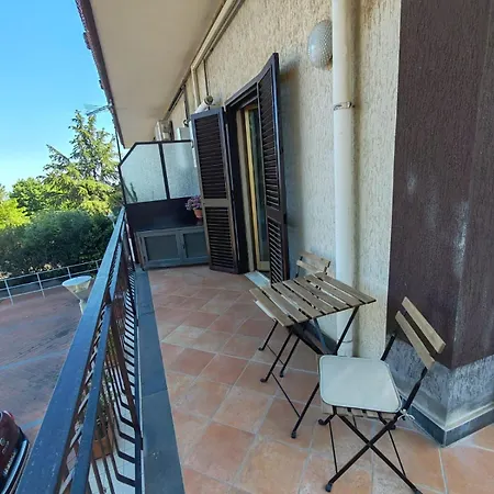 Il Tulipano